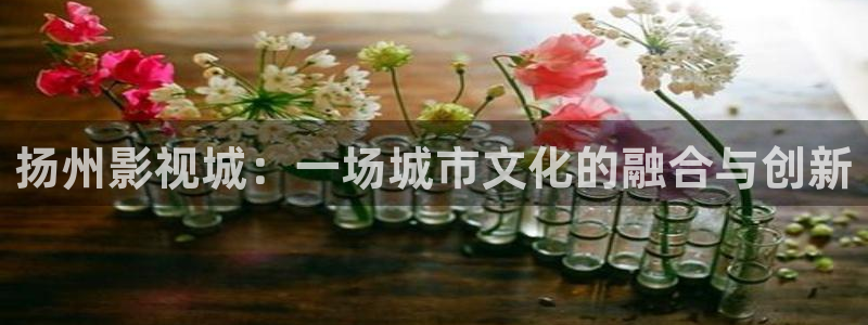 樱花免费影院观看：扬州影视城：一场城市文化的融合与创新