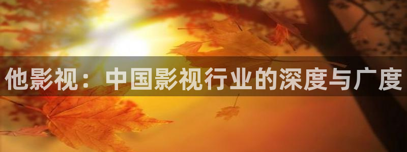 樱花影视在线：他影视：中国影视行业的深度与广度