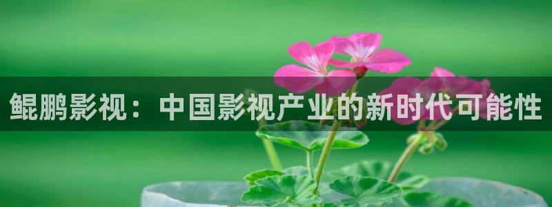 樱花久久影院：鲲鹏影视：中国影视产业的新时代可能性