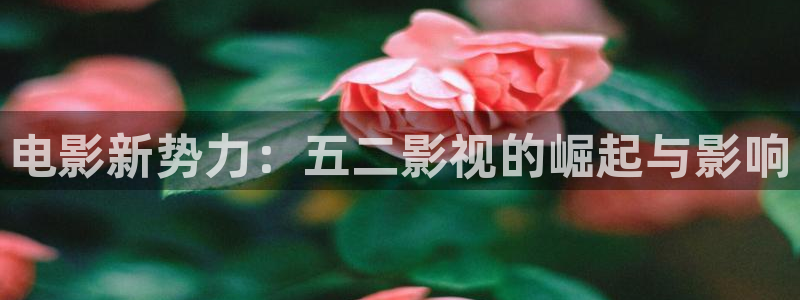 天堂私人影院樱花：电影新势力：五二影视的崛起与影响