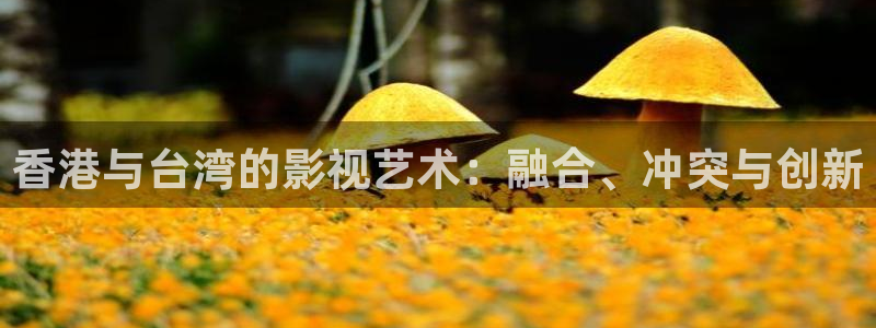 樱花电影免费观看：香港与台湾的影视艺术：融合、冲突与创新