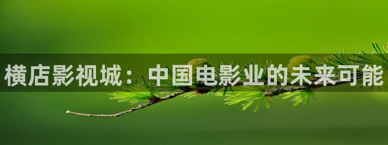 樱花yy私人影院：横店影视城：中国电影业的未来可能