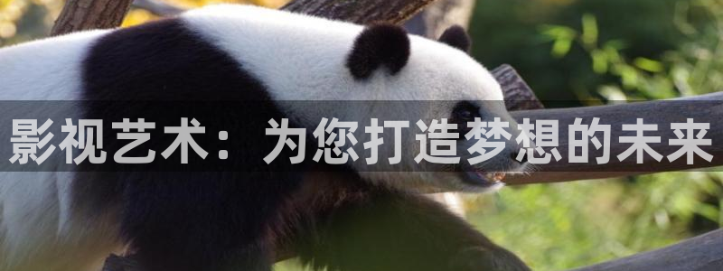 樱花电影在线：影视艺术：为您打造梦想的未来